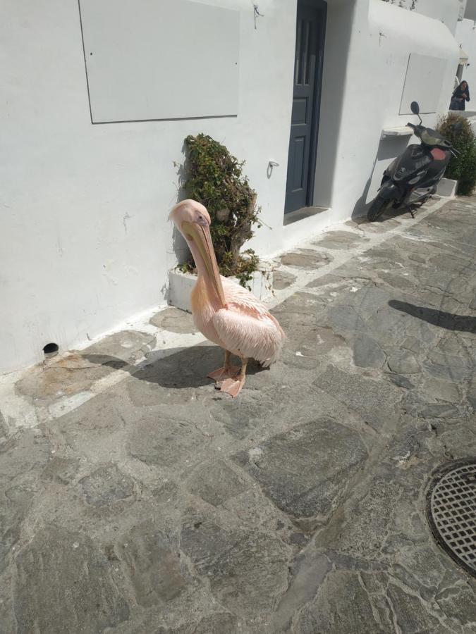 Octopus Blue Mykonos Town Exterior foto